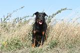 BEAUCERON 144